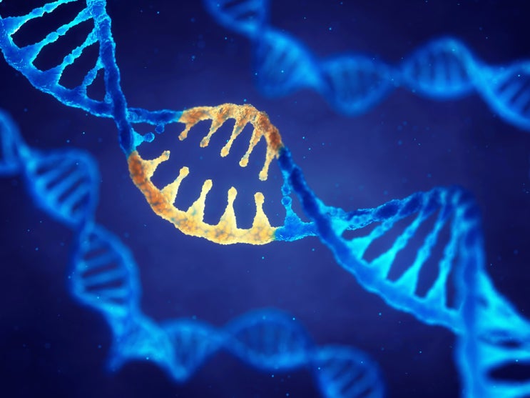 유방암 위험을 높이는 ‘유전자 돌연변이 (DNA error)' 규명