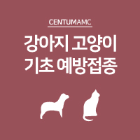 강아지 고양이 기초 예방접종