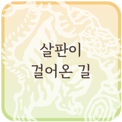  살판이 걸어온 길