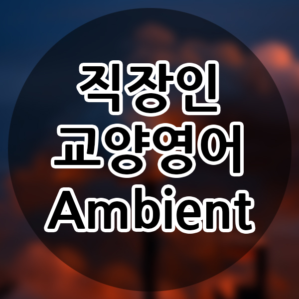  직장인 교양영어 영어사전 기본 영어 단어 ambient 앰비언트 뜻 사회인영어 비즈니스영어 생활영어 공부