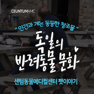  [동물뉴스]인간과 개는 동등한 창조물, 독일의 반려동물문화 (부산분과전문동물병원, 365일연중무휴)