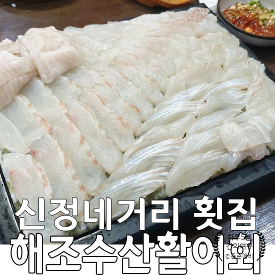  [양천구횟집]신정네거리 해조수산활어회. 광어와 꼬물꼬물 산낙지~!