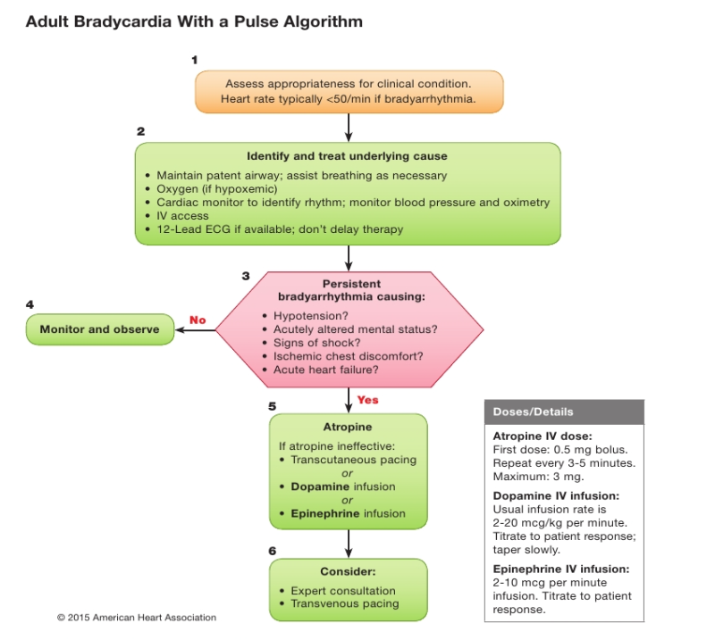 Acls Renewal 네이버 블로그