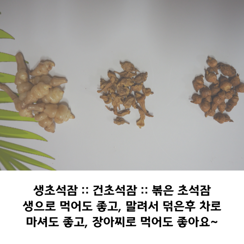 2020 지리산 초석잠 판매가격 & 생초석잠파는곳 3