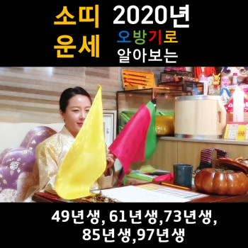  2020년 소띠 운세 (49년생소띠,61년생소띠,73년생소띠,85년생소띠,97년생소띠) 성남용한점집 화선궁