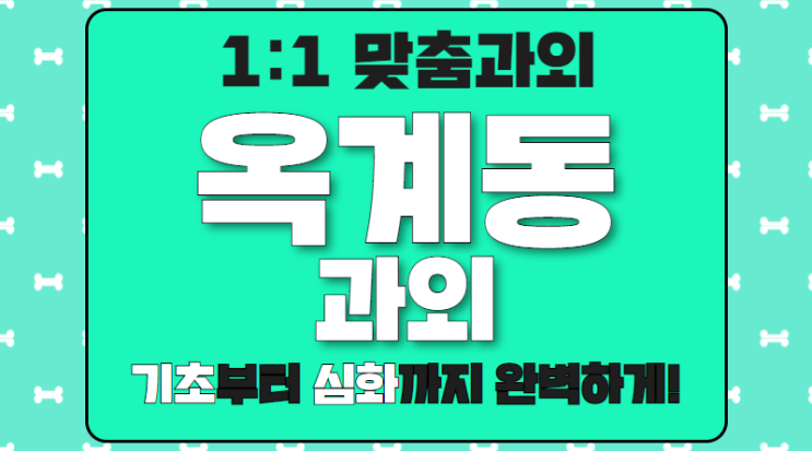  옥계동 수학과외 중등 영어과외 고등 학생의 수준별 맞춤 지도를