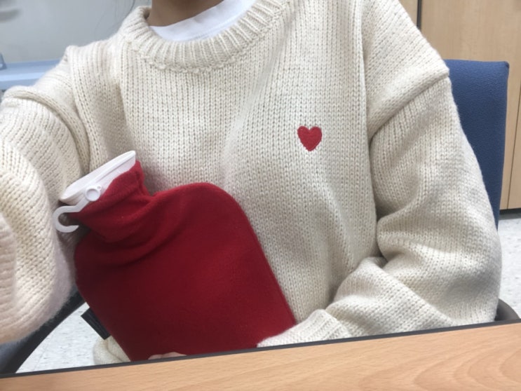  [파쉬 보온 물주머니] 생리통, 수족냉증에 좋아요 / 해외직구