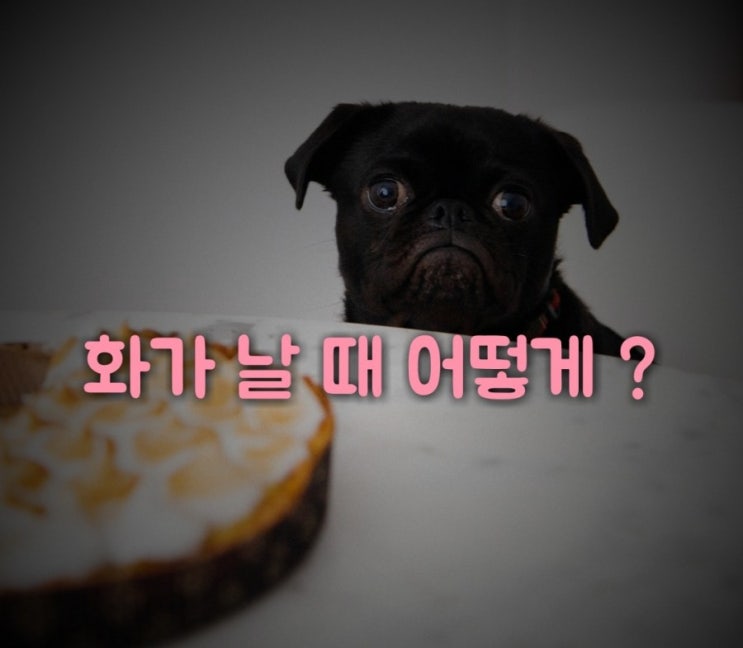  **화를 잘 푸는 방법 7가지**