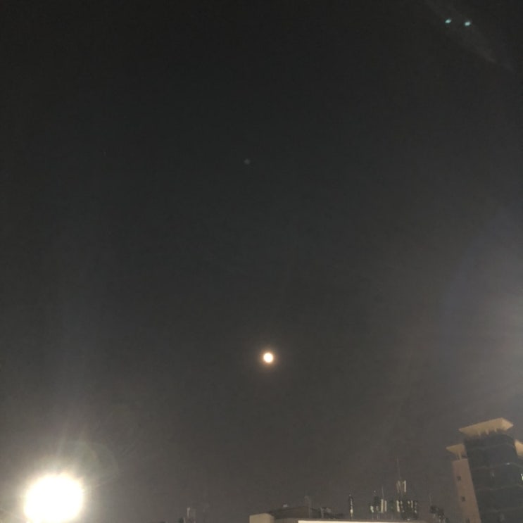  세상엔 정말로?