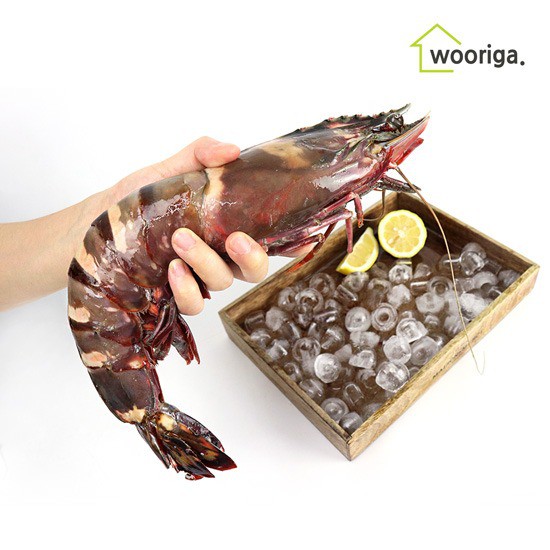 [추천제품] 특 A급 킹 블랙타이거새우 900g1kg 3미 킹타이거새우 특A급 킹 블랙타이거새우 900g1kg 3미 상세설명 참조 
