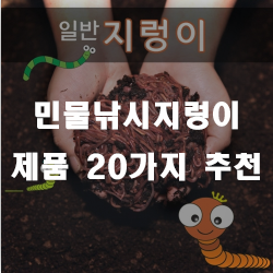  낚시에 지렁이 빠지면 섭하죠. 낚시 필수미끼