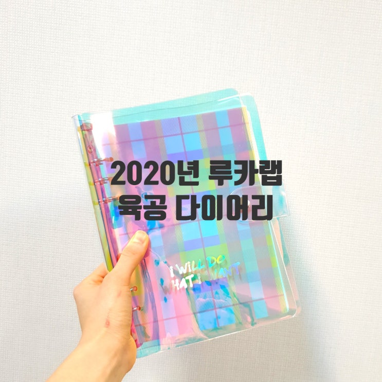  리얼후기 ) 2020년 다이어리, 루카랩 육공 다이어리로 정하다