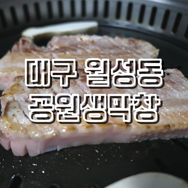  대구 월성동에서 괜찮은 달서구막창 공원생막창