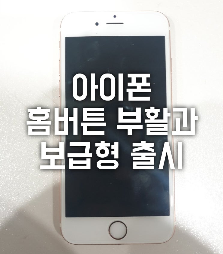  아이폰 보급형 홈버튼 부활할까?