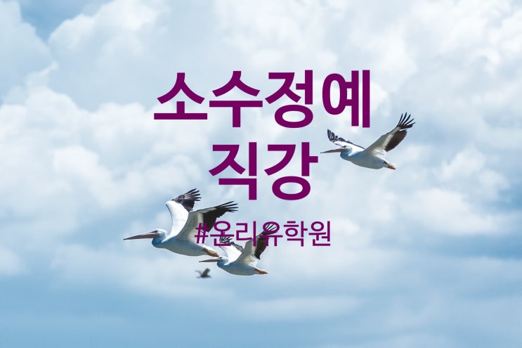  [운양동 소수정예 초등 중 영어 수학 학원] 온리유학원 소수정예공부직강의 중요성 가성비 최고의 학원 추천합니다.어릴적 아이들 교육은 엄마의 작품!  Q/A 학원비 얼마 ?
