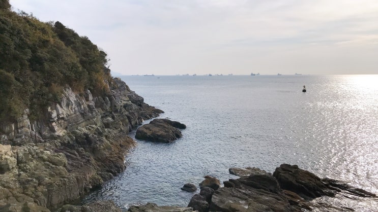  기암절벽과 나무, 바다가 어우러진 오동도 겨울여행