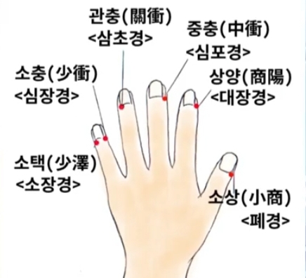  [내몸건강설명서]손톱자극으로 장기건강 지켜봐요