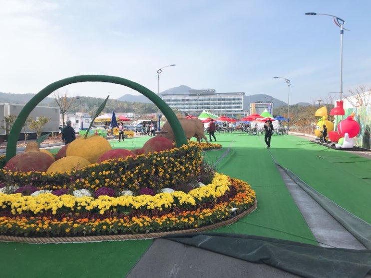  자연과 과학이 공존하는 고흥 여행 1 : 제1회 고흥유자석류축제, 마복산 목재문화체험장