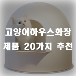  다양한 디자인의 고양이하우스화장실~