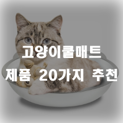  더위를 싫어하는 고양이들을 위해 고양이쿨매트를 선물해보세요!