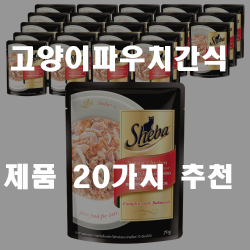  고양이의 입맛을 살려주는 고양이파우치간식
