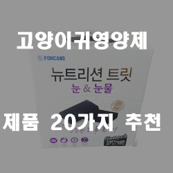  건강이 악화되기 전에 고양이귀영양제로 준비하세요!