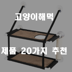  고양이라면 놓칠 수 없는 고양이해먹 추천 제품