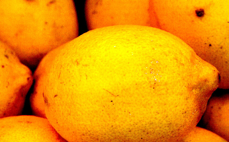비타민의 대명사 열대과일 레몬