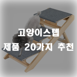  반려동물의 고관절을 지켜주는 고양이스텝 추천 제품들!!