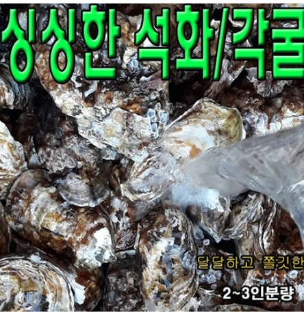  2020년 1월제철음식  보령 천북굴축제장에서공수한 석화2~3인분량 천북 석화5kg