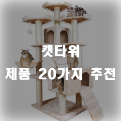  고양이에 필수템 캣타워!