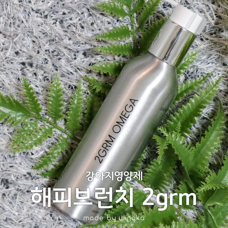  강아지영양제 해피브런치 2grm 15살 노견과 함께
