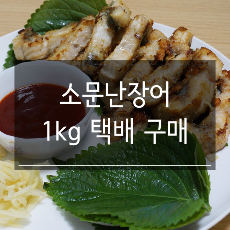 <소문난장어> 국내산 자포니카 민물장어 1kg 택배 구매기! 캠핑요리로 굿! <소문난장어> 국내산 자포니카 민물장어 1kg 택배 구매기! 캠핑요리로 굿!
