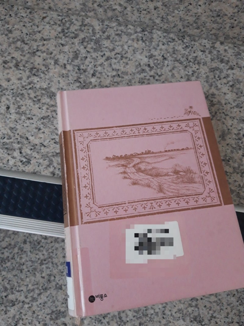 “Meadow House”시리즈 - 미국 개척 시대에 대한 감동적인 이야기 2