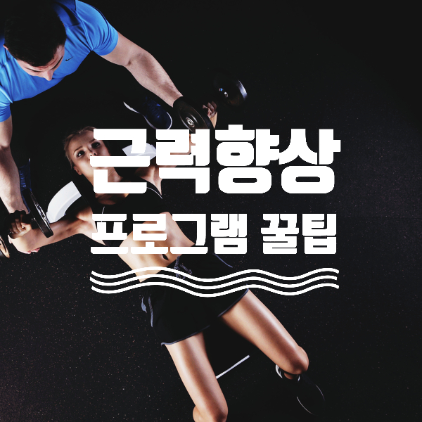  [이태원피티] 근력향상, 체력향상 프로그램 꿀팁 - H퍼스널트레이닝, 무브미 MOVEme
