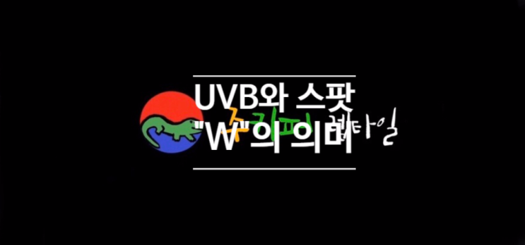 [주키퍼 렙타일] 파충류 TMI 속보 (17회) - UVB와 스팟에 있는 "W"는 무엇을 의미할까? (feat. 전기세 측정)