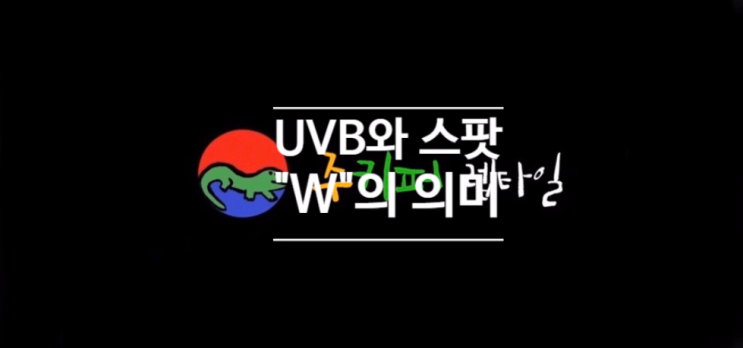  [주키퍼 렙타일] 파충류 TMI 속보 (17회) - UVB와 스팟에 있는 "W"는 무엇을 의미할까? (feat. 전기세 측정)
