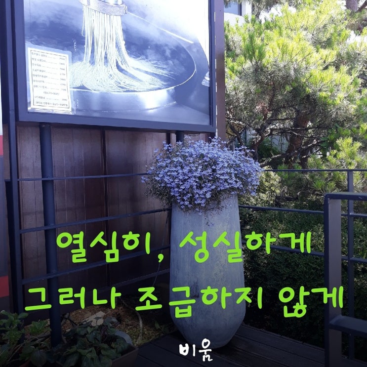  인내와 기다림의 지혜 / 열심히, 성실하게 그러나 조급하지 않게 - 비움