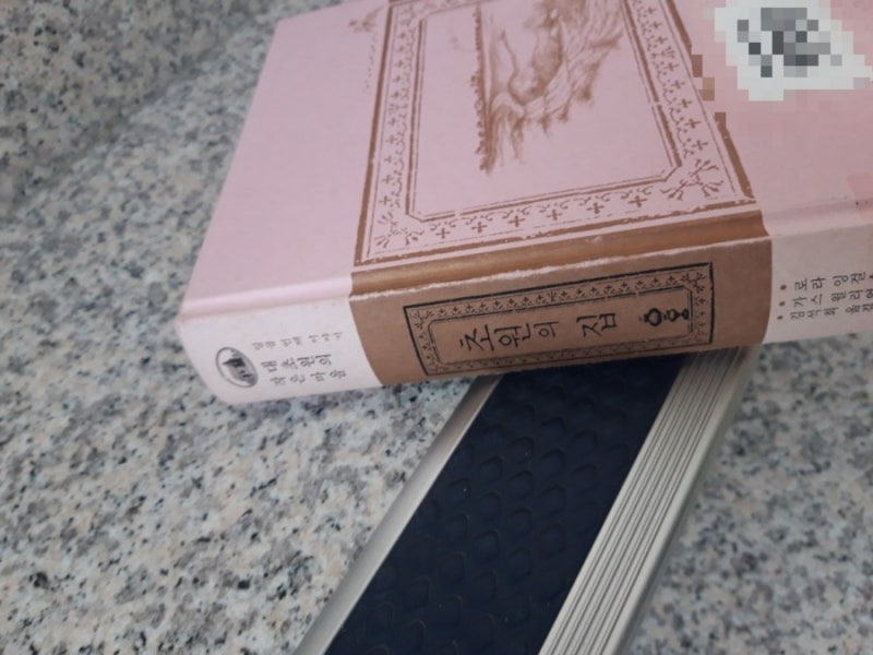 “Meadow House”시리즈 - 미국 개척 시대에 대한 감동적인 이야기 1