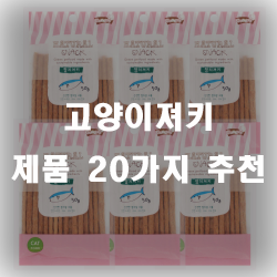  고양이들을 위한 고양이져키가 준비됬습니다!