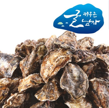  2020년 1월제철음식  굴키우는 남자 산지직송 통영수산물   석화10kg  [16,900원 ]