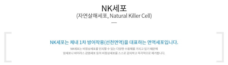  1/11 엔케이맥스 매수 포인트 정리