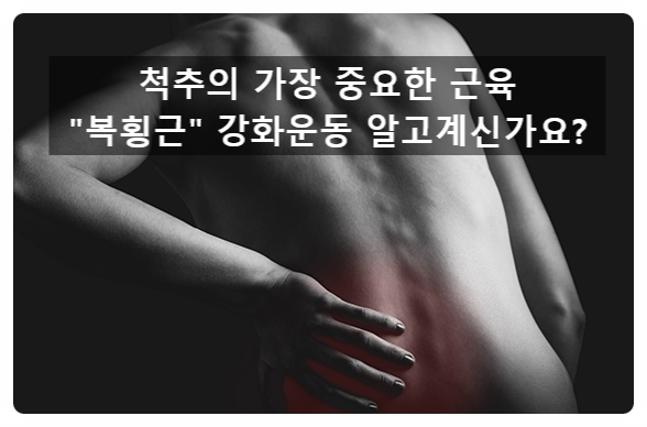 (인계동pt) 허리디스크 에서 중요한 복횡근 강화운동 Hollowing vs Bracing 어떤걸 해야할까요?