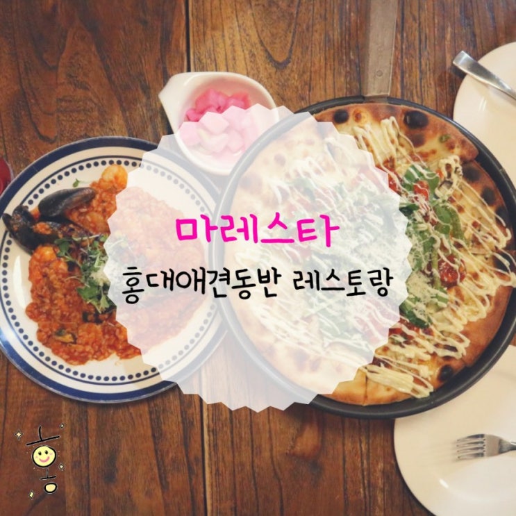 「마포구, 동교동」 홍대애견동반식당 마레스타