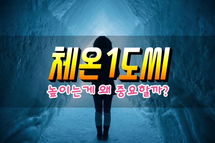  체온1도를 올리는게 중요한 이유 심층분석 (저체온 수족냉증 있는 분 필독)