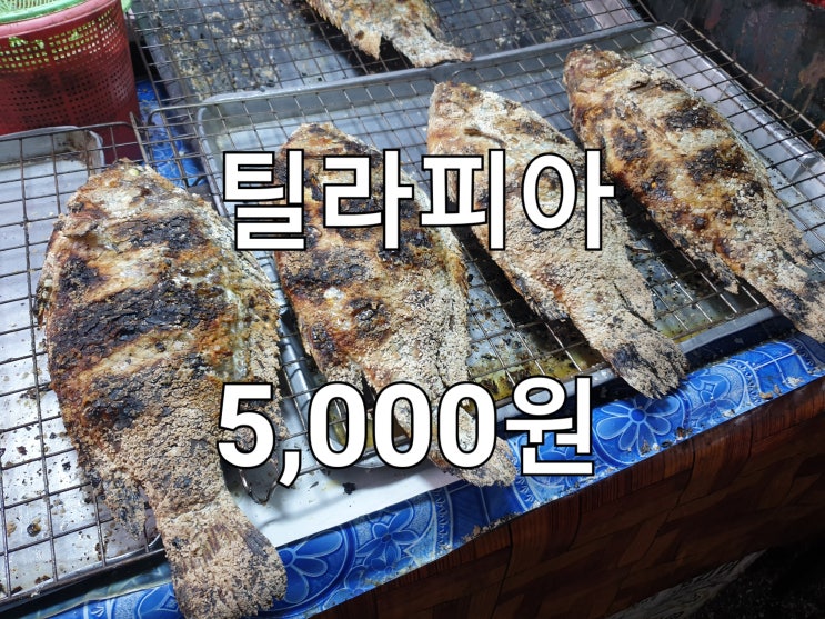  틸라피아 (역돔) 생선구이 5,000원 (feat. 배터짐 주의)