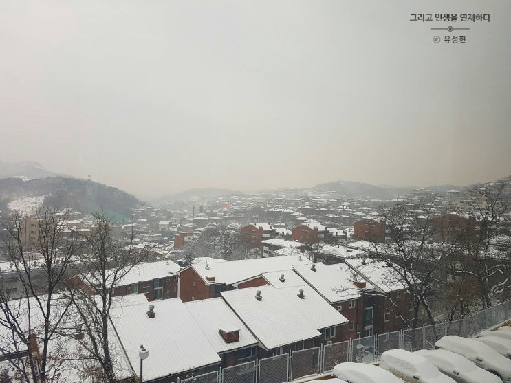  <Itinerary, 그리고 인생을 연재하다 133> 의문들