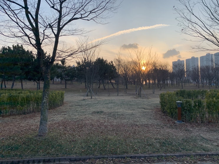  안산 강아지 산책하기 좋은 고잔동 안산호수공원