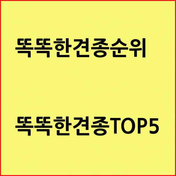  영리한개 똑똑한 견종 순위 TOP5