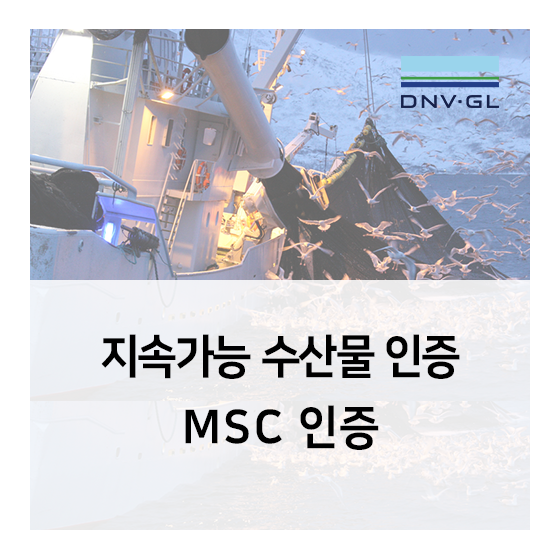  [지속가능 수산물] MSC 인증이란?